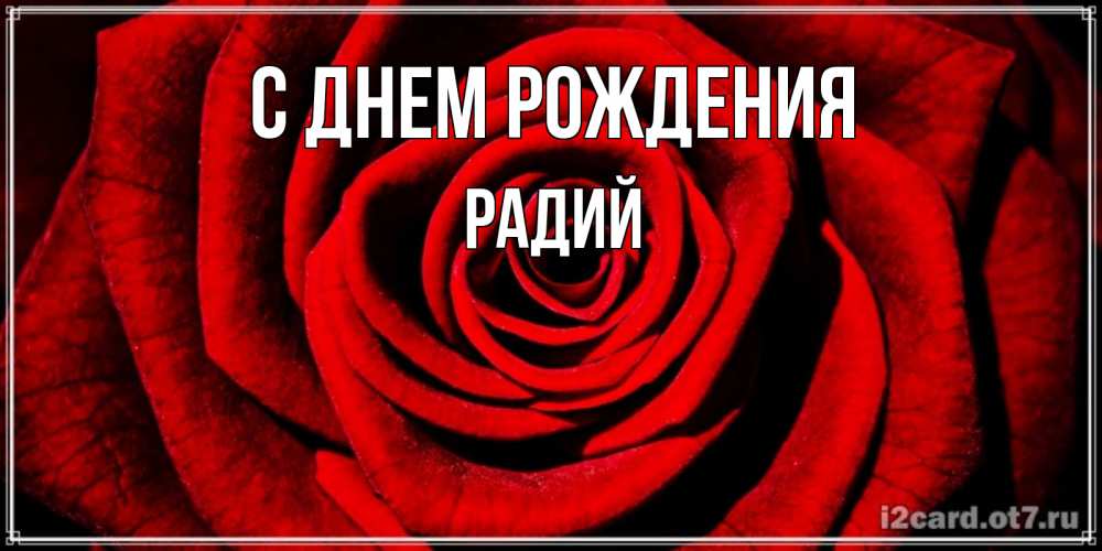 Открытка на каждый день с именем, Радий С днем рождения алая роза Прикольная открытка с пожеланием онлайн скачать бесплатно 