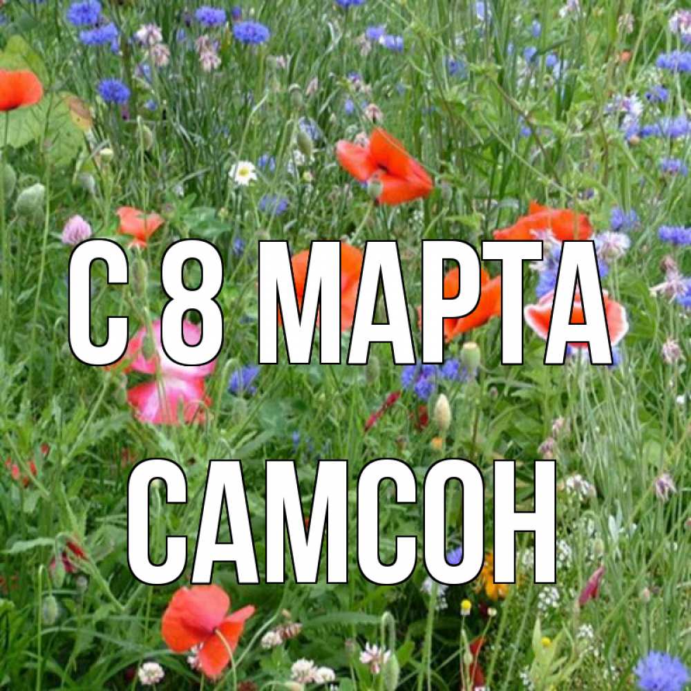 Открытка на каждый день с именем, Самсон С 8 МАРТА международный женский день 4 Прикольная открытка с пожеланием онлайн скачать бесплатно 