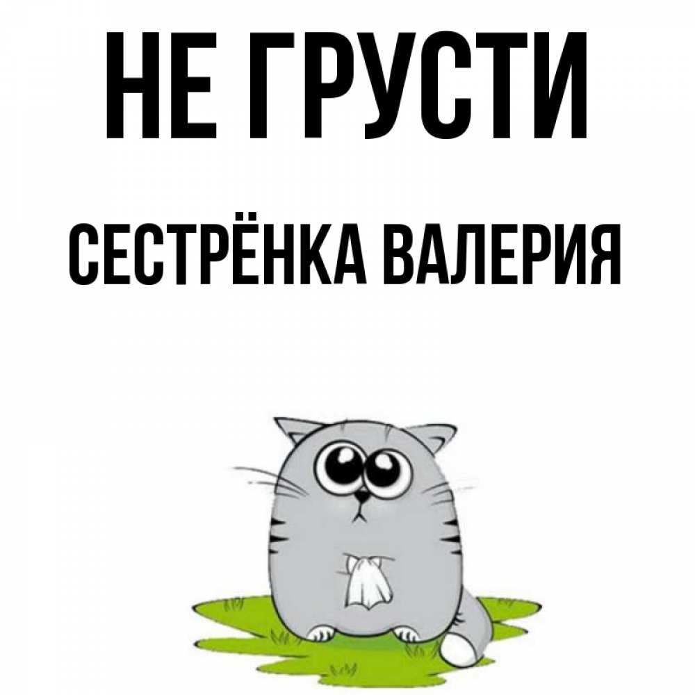 Открытка на каждый день с именем, Сестрёнка-Валерия Не грусти грустный котяра Прикольная открытка с пожеланием онлайн скачать бесплатно 