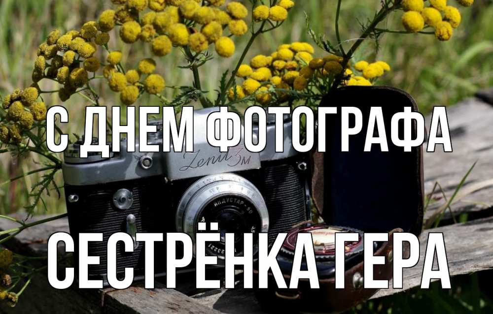 Открытка на каждый день с именем, Сестрёнка-Гера С днем фотографа с днем фотографа Прикольная открытка с пожеланием онлайн скачать бесплатно 