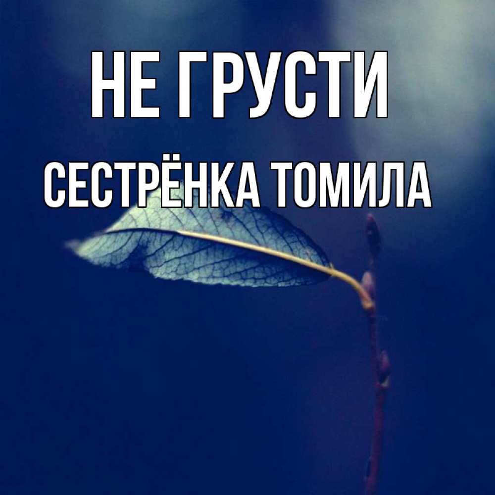 Открытка на каждый день с именем, Сестрёнка-Томила Не грусти растение Прикольная открытка с пожеланием онлайн скачать бесплатно 