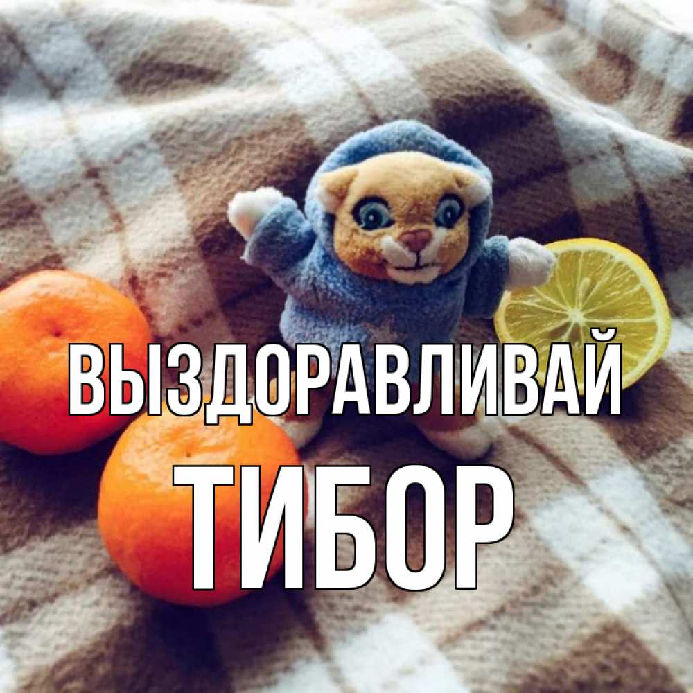 Открытка на каждый день с именем, Тибор Выздоравливай вот тебе апельсинка и лимон Прикольная открытка с пожеланием онлайн скачать бесплатно 