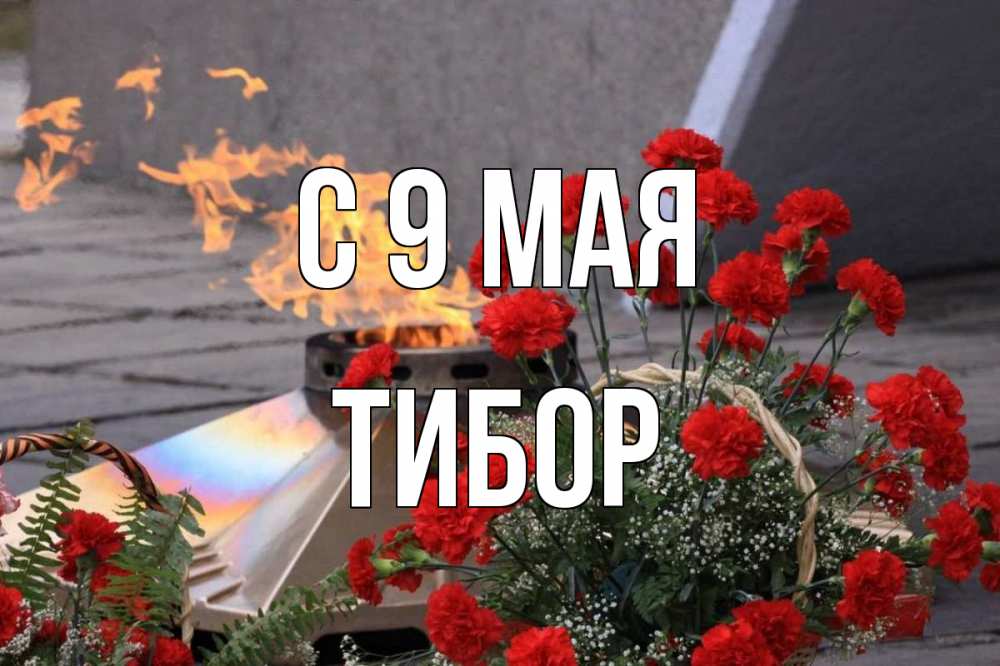 Открытка на каждый день с именем, Тибор С 9 мая 9 мая Прикольная открытка с пожеланием онлайн скачать бесплатно 