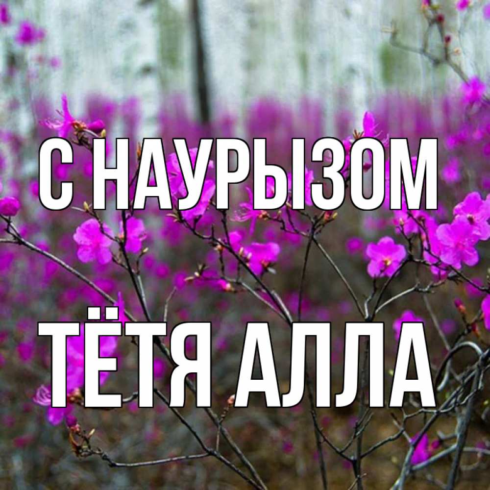 Открытка на каждый день с именем, Тётя-Алла С наурызом дикие цветы Прикольная открытка с пожеланием онлайн скачать бесплатно 
