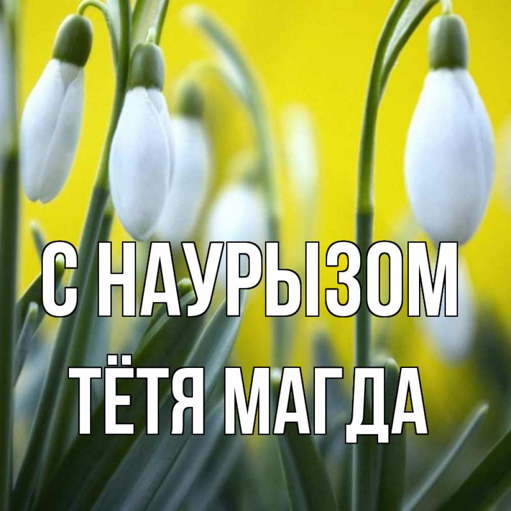 Открытка на каждый день с именем, Тётя-Магда С наурызом весенние цветы Прикольная открытка с пожеланием онлайн скачать бесплатно 