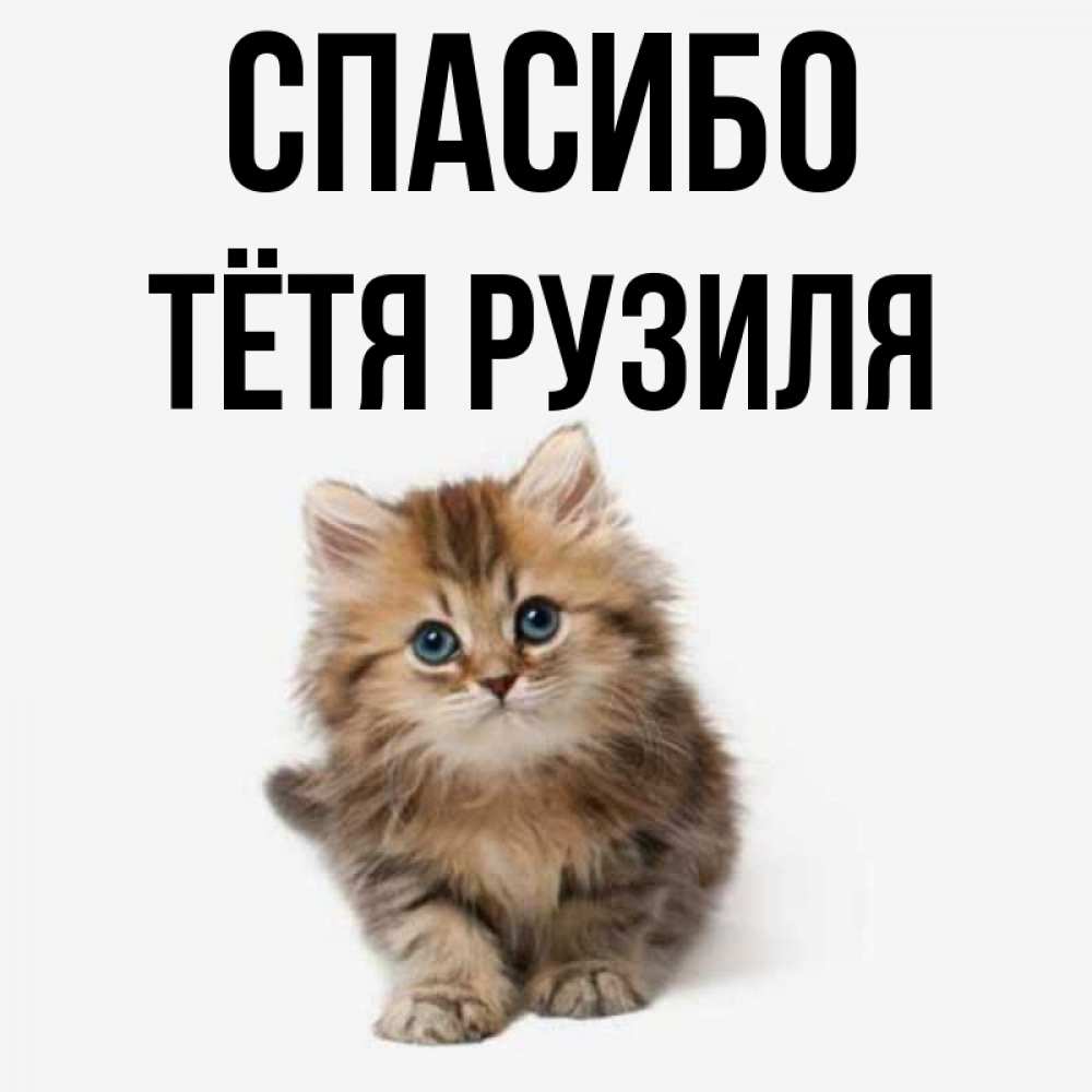 Открытка на каждый день с именем, Тётя-Рузиля Спасибо пушистый котик Прикольная открытка с пожеланием онлайн скачать бесплатно 