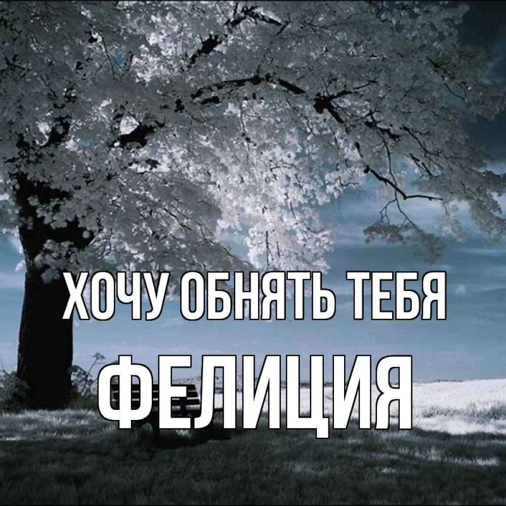 Открытка на каждый день с именем, Фелиция Хочу обнять тебя дерево Прикольная открытка с пожеланием онлайн скачать бесплатно 