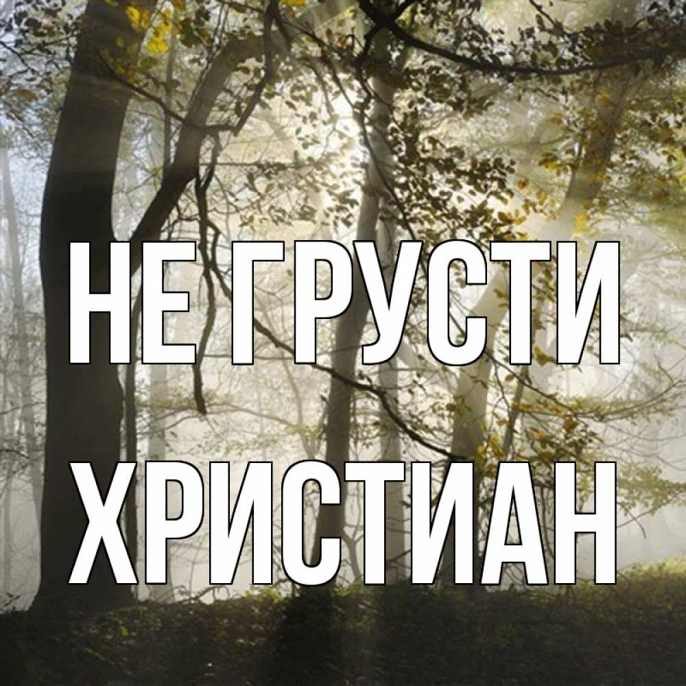 Открытка на каждый день с именем, Христиан Не грусти лес и свет Прикольная открытка с пожеланием онлайн скачать бесплатно 