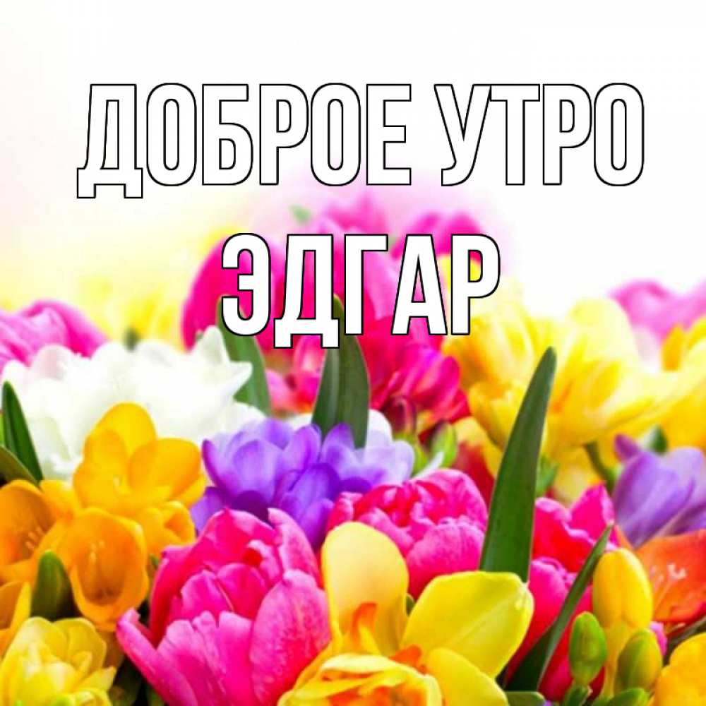 Открытка на каждый день с именем, Эдгар Доброе утро создать открытку со свое подписью Прикольная открытка с пожеланием онлайн скачать бесплатно 