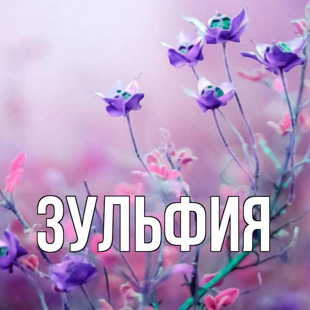 Поздравления С Днем Рождения Зульфия Картинки