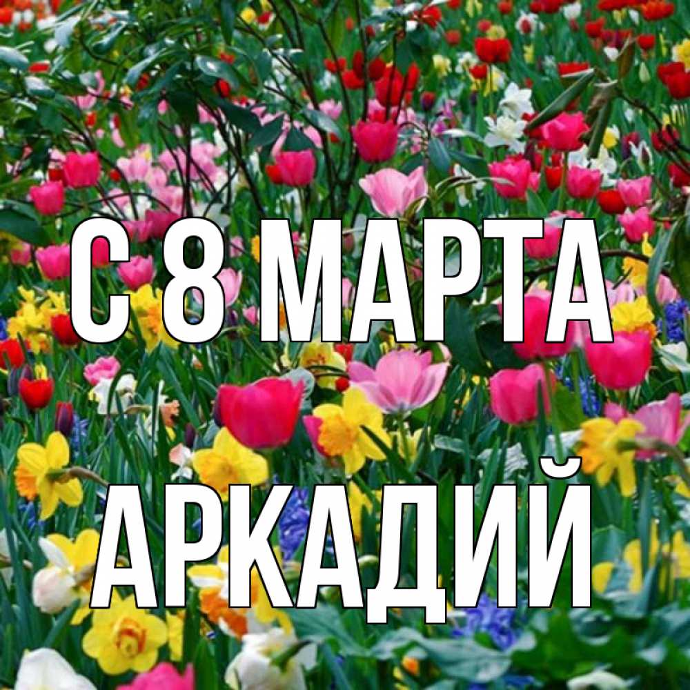 Открытка на каждый день с именем, Аркадий С 8 марта с международным женским днем поздравления для женщины Прикольная открытка с пожеланием онлайн скачать бесплатно 