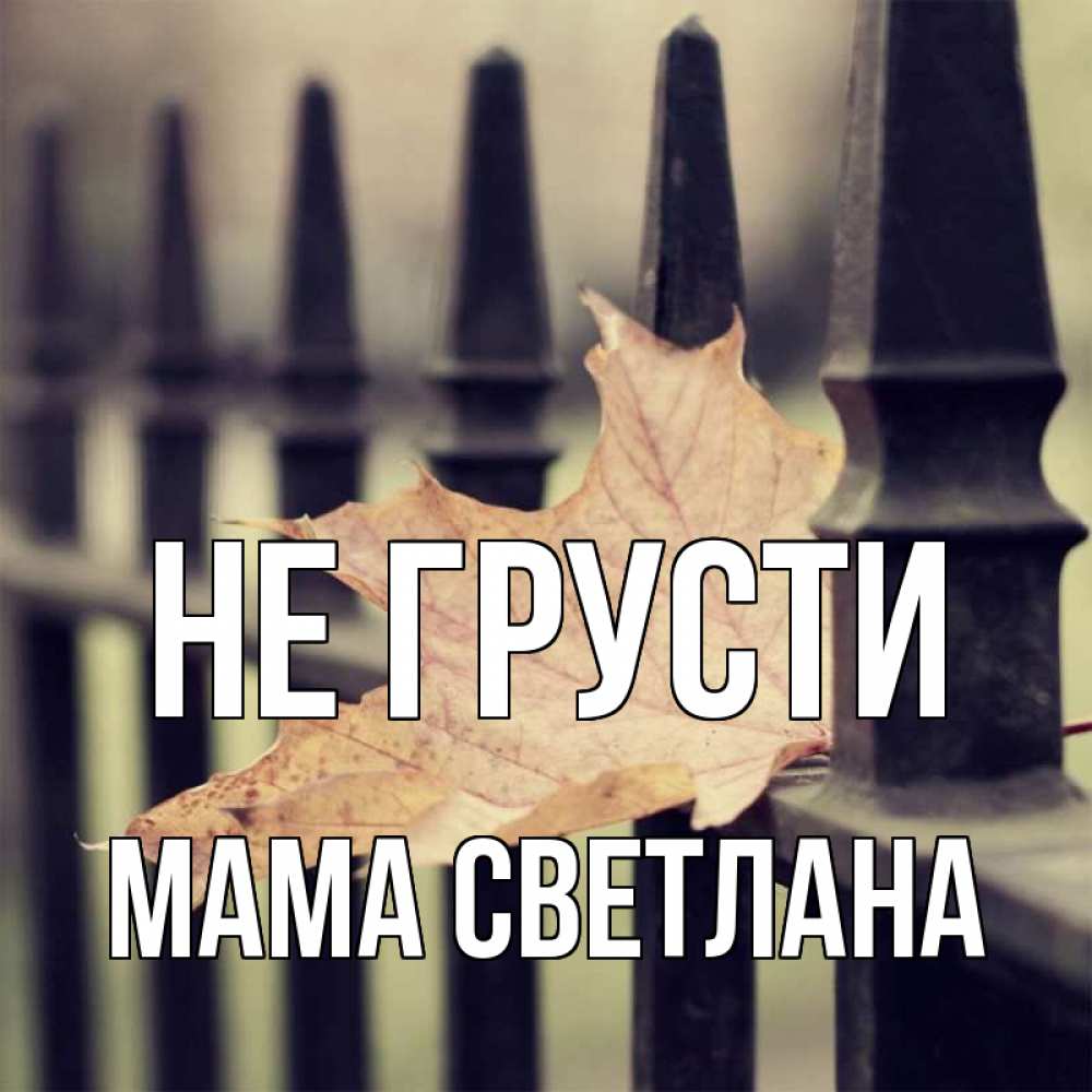 Открытка на каждый день с именем, Мама-Светлана Не грусти лист клена Прикольная открытка с пожеланием онлайн скачать бесплатно 