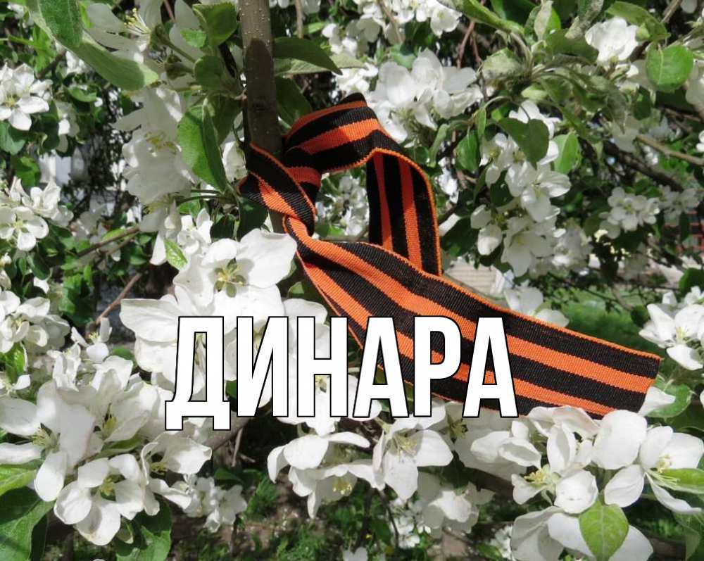 Картинка  с именем , Динара