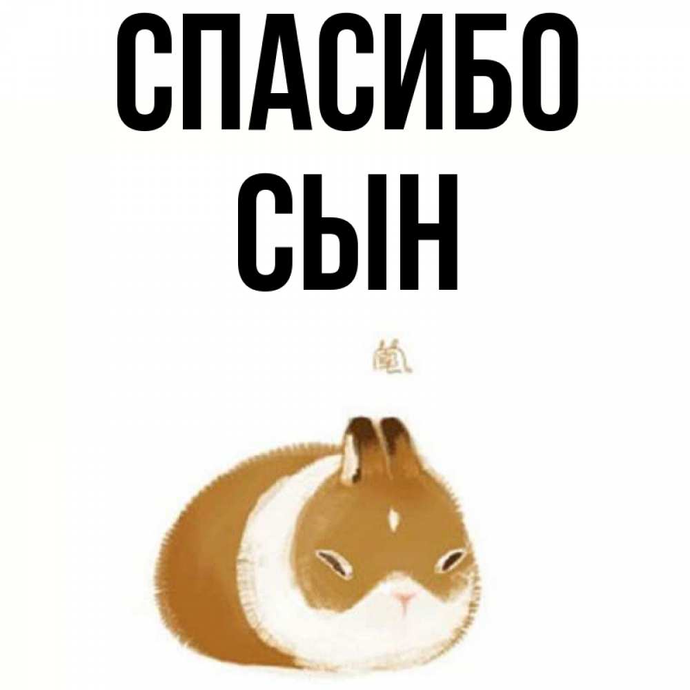 Спасибо сын картинки