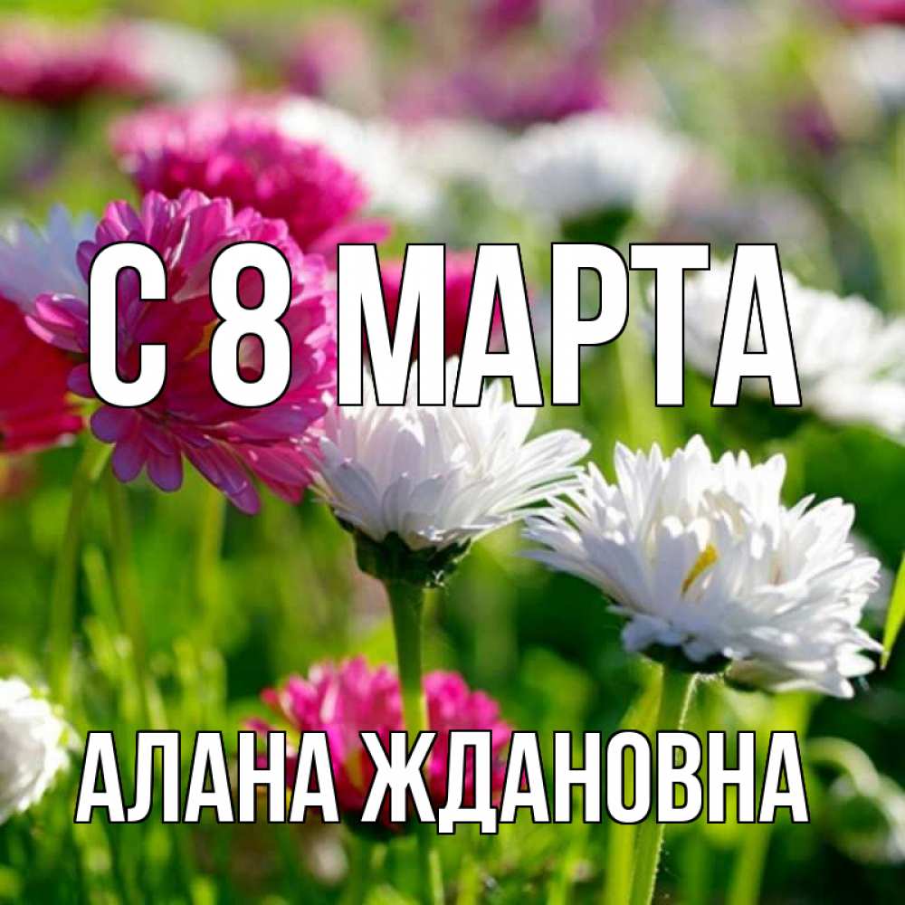 Открытка на каждый день с именем, Алана-Ждановна С 8 марта международный женский день 1 Прикольная открытка с пожеланием онлайн скачать бесплатно 