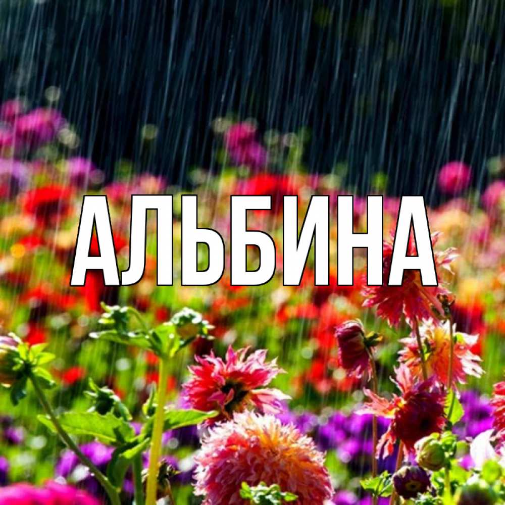 Альбина Картинки