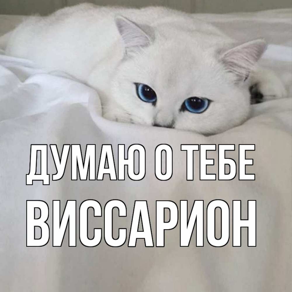 Открытка на каждый день с именем, Виссарион Думаю о тебе я очень по тебе скучаю и тоскую Прикольная открытка с пожеланием онлайн скачать бесплатно 