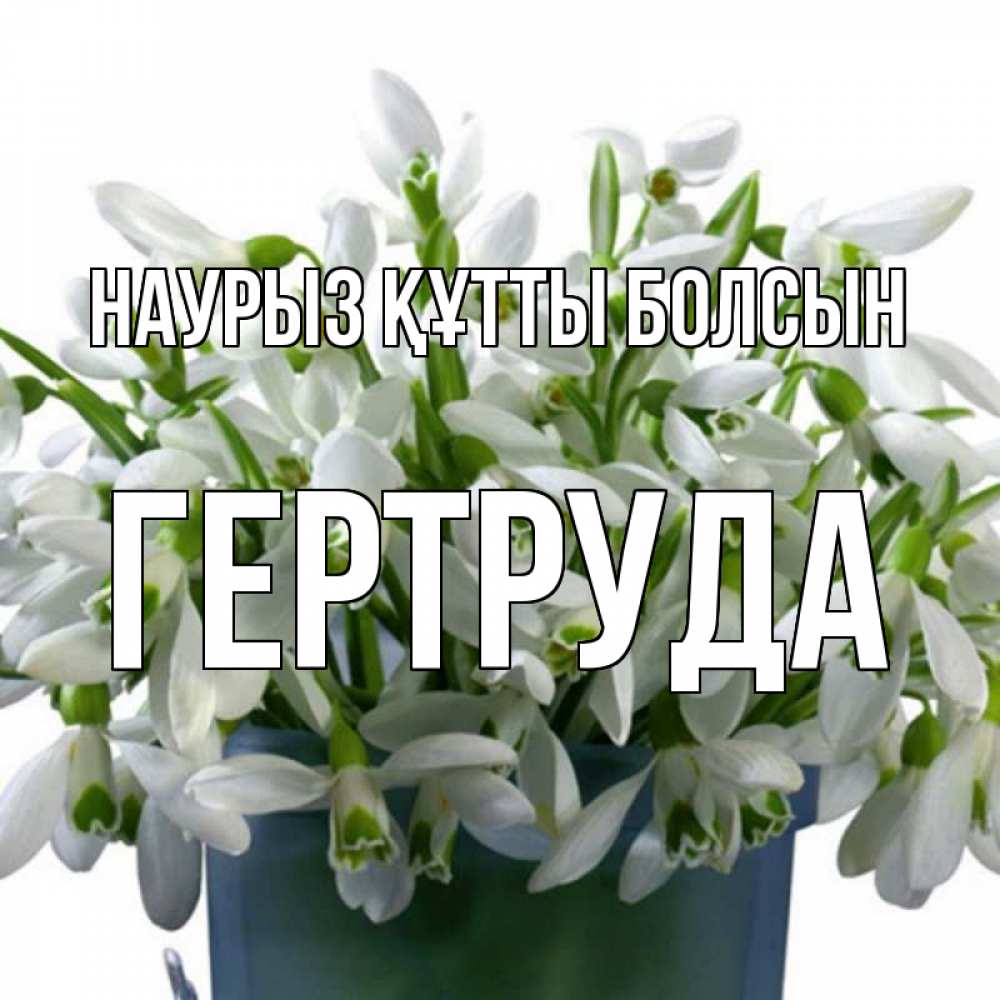 Открытка на каждый день с именем, Гертруда Наурыз құтты болсын цветы к наурызу Прикольная открытка с пожеланием онлайн скачать бесплатно 