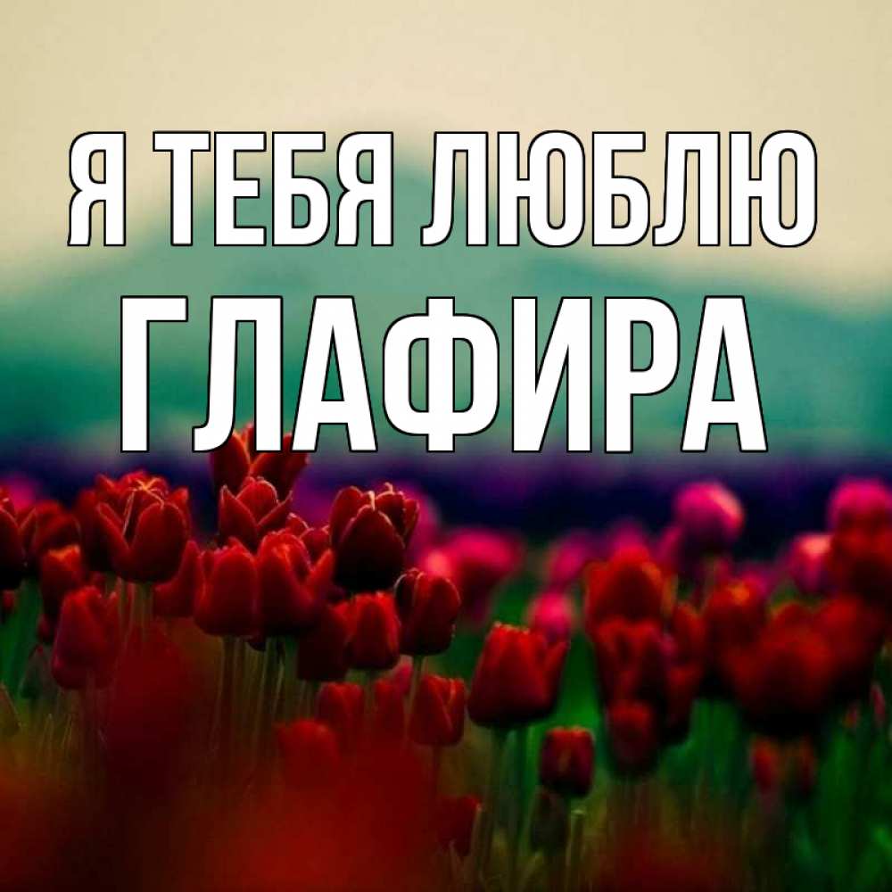 Открытка на каждый день с именем, Глафира Я тебя люблю тюльпаны 4 Прикольная открытка с пожеланием онлайн скачать бесплатно 
