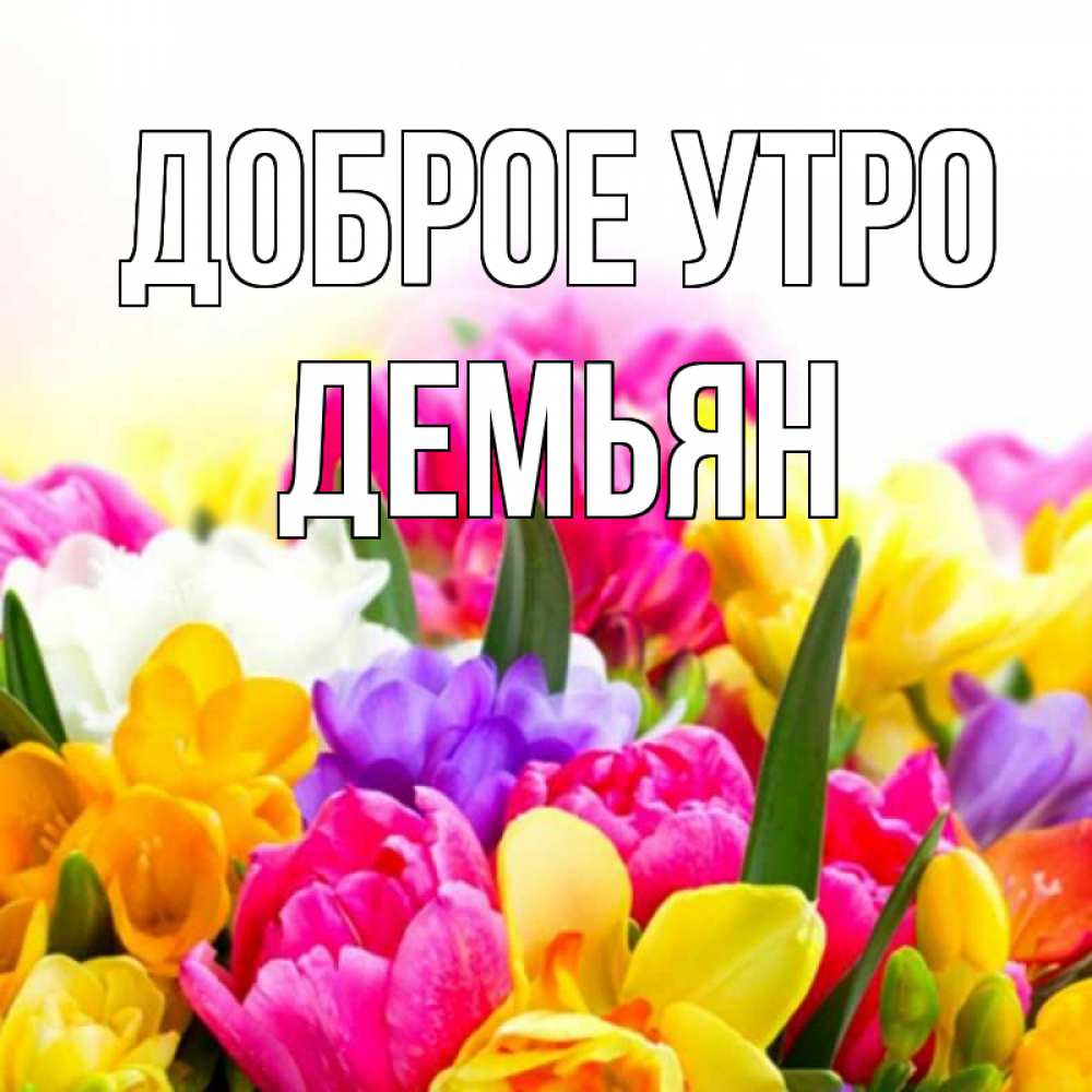 Открытка на каждый день с именем, Демьян Доброе утро создать открытку со свое подписью Прикольная открытка с пожеланием онлайн скачать бесплатно 