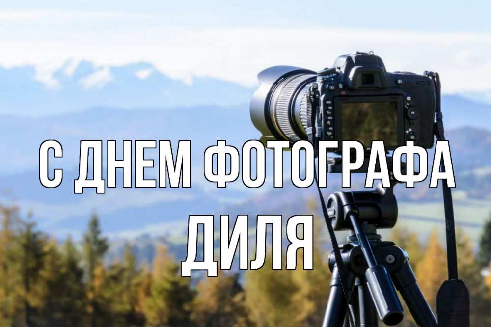 Открытка на каждый день с именем, Диля С днем фотографа с днем фотографа Прикольная открытка с пожеланием онлайн скачать бесплатно 