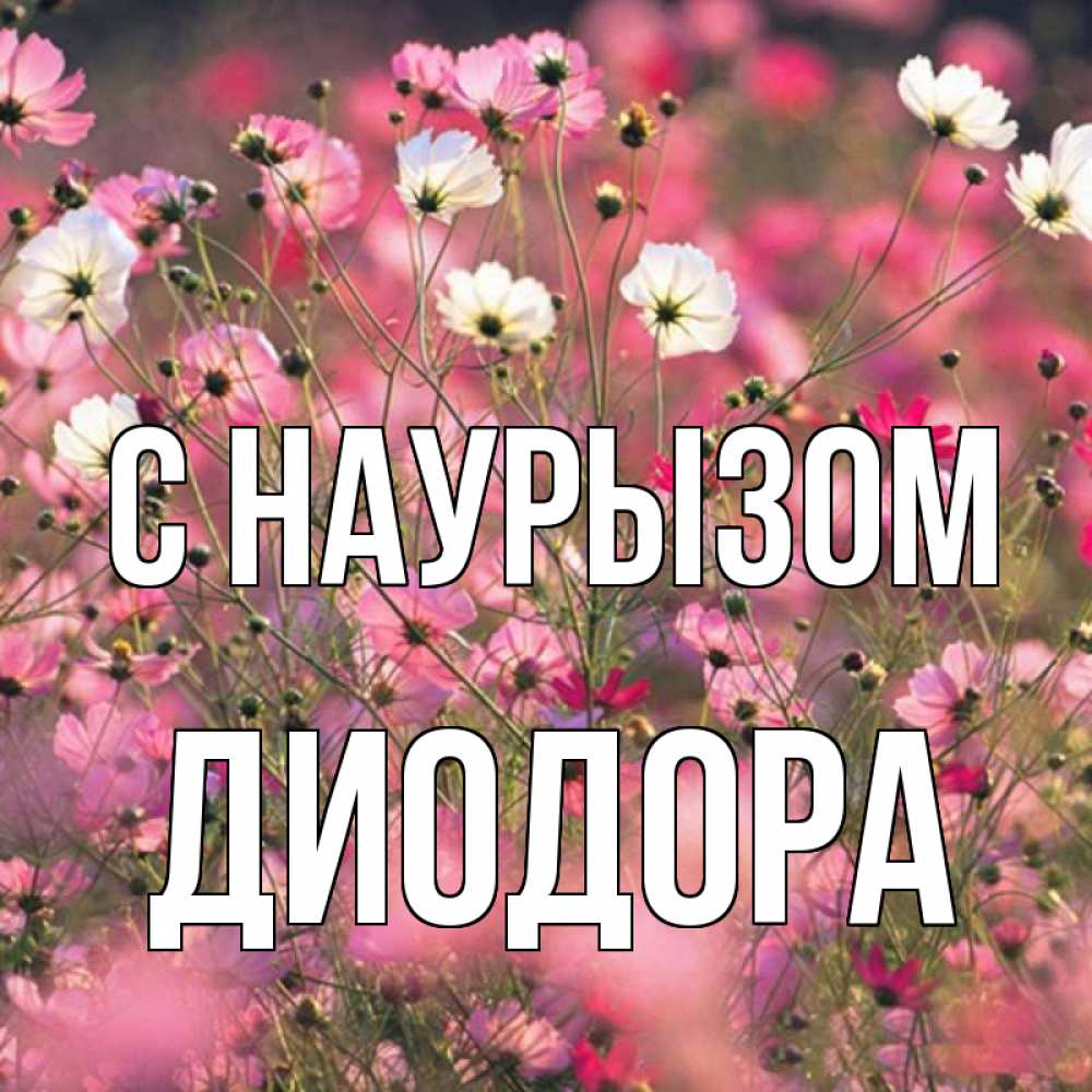 Открытка на каждый день с именем, Диодора С наурызом красиво 1 Прикольная открытка с пожеланием онлайн скачать бесплатно 