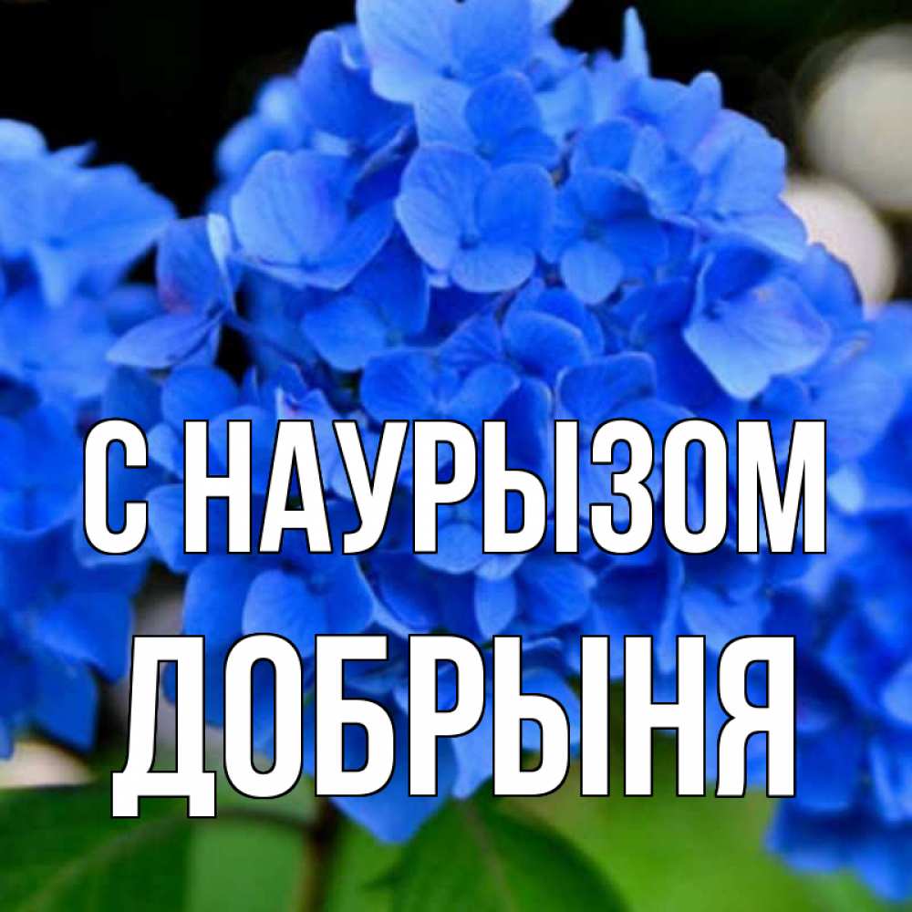 Открытка на каждый день с именем, Добрыня С наурызом синие цветы Прикольная открытка с пожеланием онлайн скачать бесплатно 