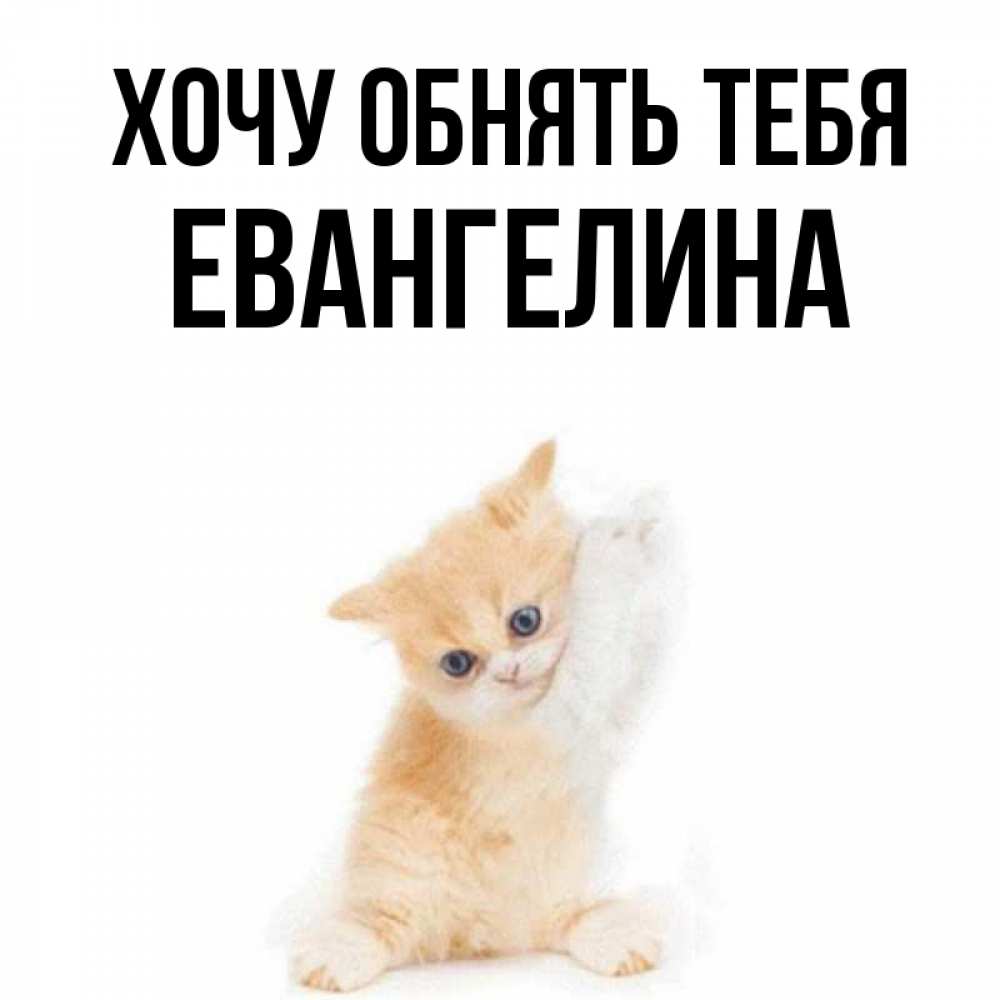 Открытка на каждый день с именем, Евангелина Хочу обнять тебя я хочу очень скорее обнимаешек Прикольная открытка с пожеланием онлайн скачать бесплатно 