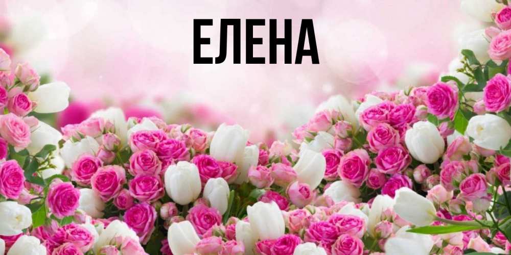Открытка на каждый день с именем, Елена Главная открытка с разными розами Прикольная открытка с пожеланием онлайн скачать бесплатно 