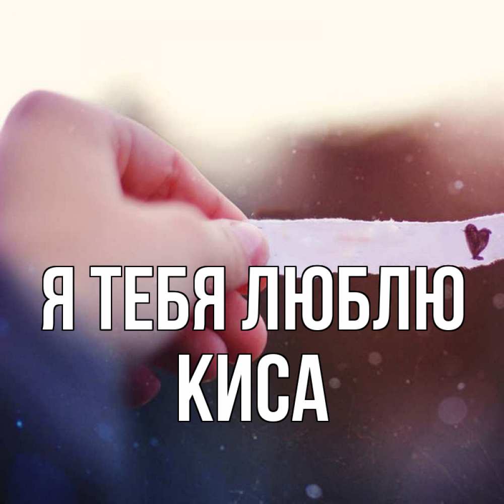 Открытка на каждый день с именем, КИСА Я тебя люблю для тебя Прикольная открытка с пожеланием онлайн скачать бесплатно 