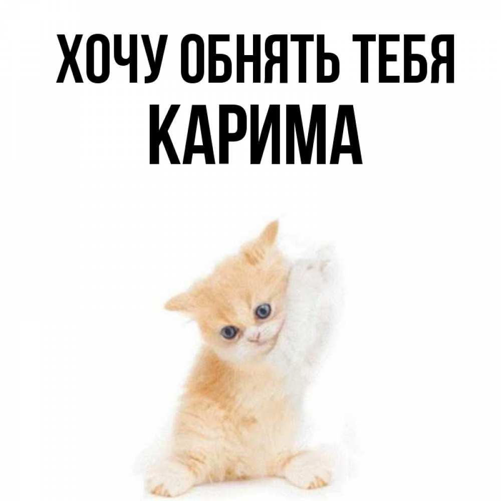 Открытка на каждый день с именем, Карима Хочу обнять тебя я хочу очень скорее обнимаешек Прикольная открытка с пожеланием онлайн скачать бесплатно 