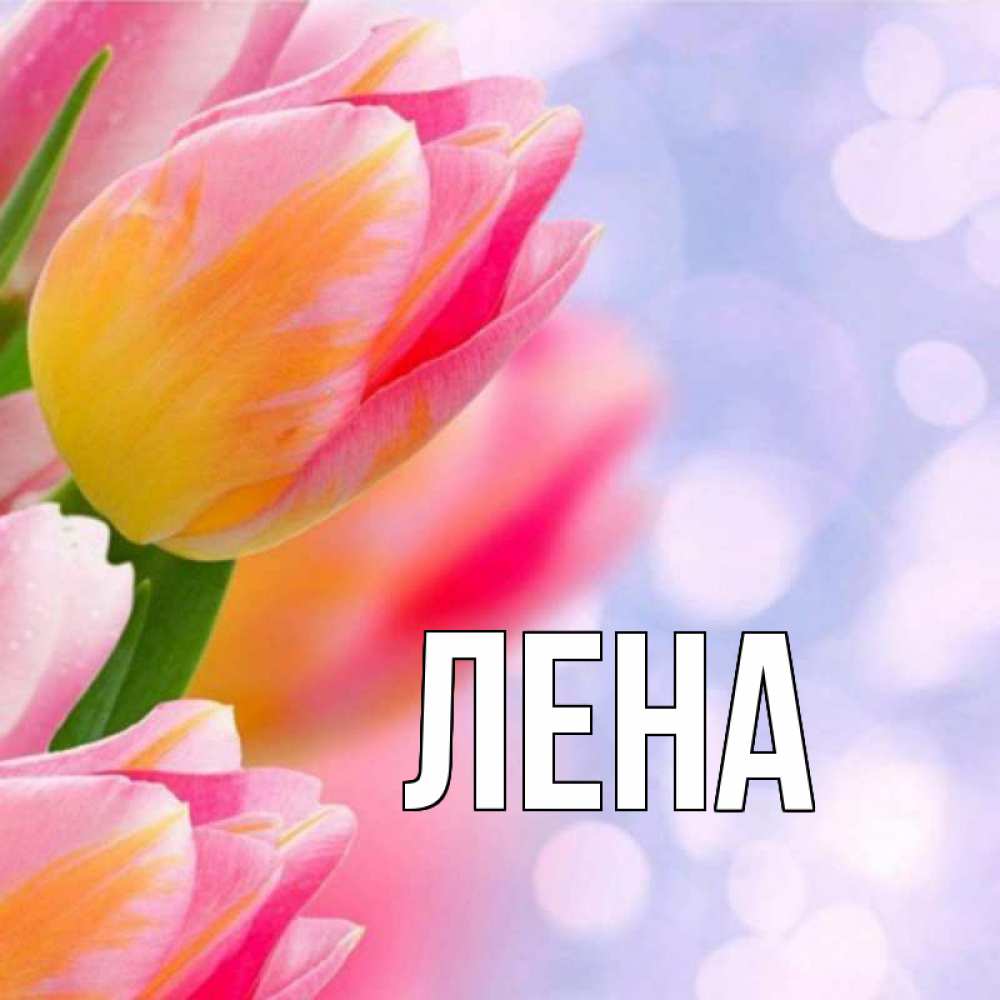 Открытка на каждый день с именем, Лена Главная тюльпаны 2 Прикольная открытка с пожеланием онлайн скачать бесплатно 