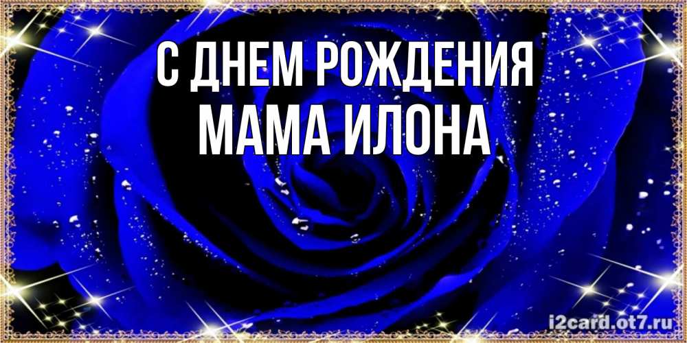 Открытка на каждый день с именем, Мама-Илона С днем рождения голубые цветы в росе Прикольная открытка с пожеланием онлайн скачать бесплатно 