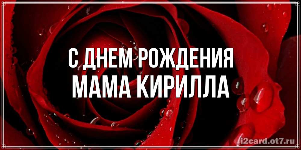 Открытка на каждый день с именем, Мама-Кирилла С днем рождения крупная бордовая роза Прикольная открытка с пожеланием онлайн скачать бесплатно 