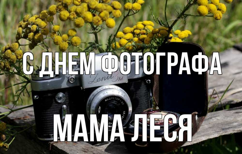 Открытка на каждый день с именем, Мама-Леся С днем фотографа с днем фотографа Прикольная открытка с пожеланием онлайн скачать бесплатно 