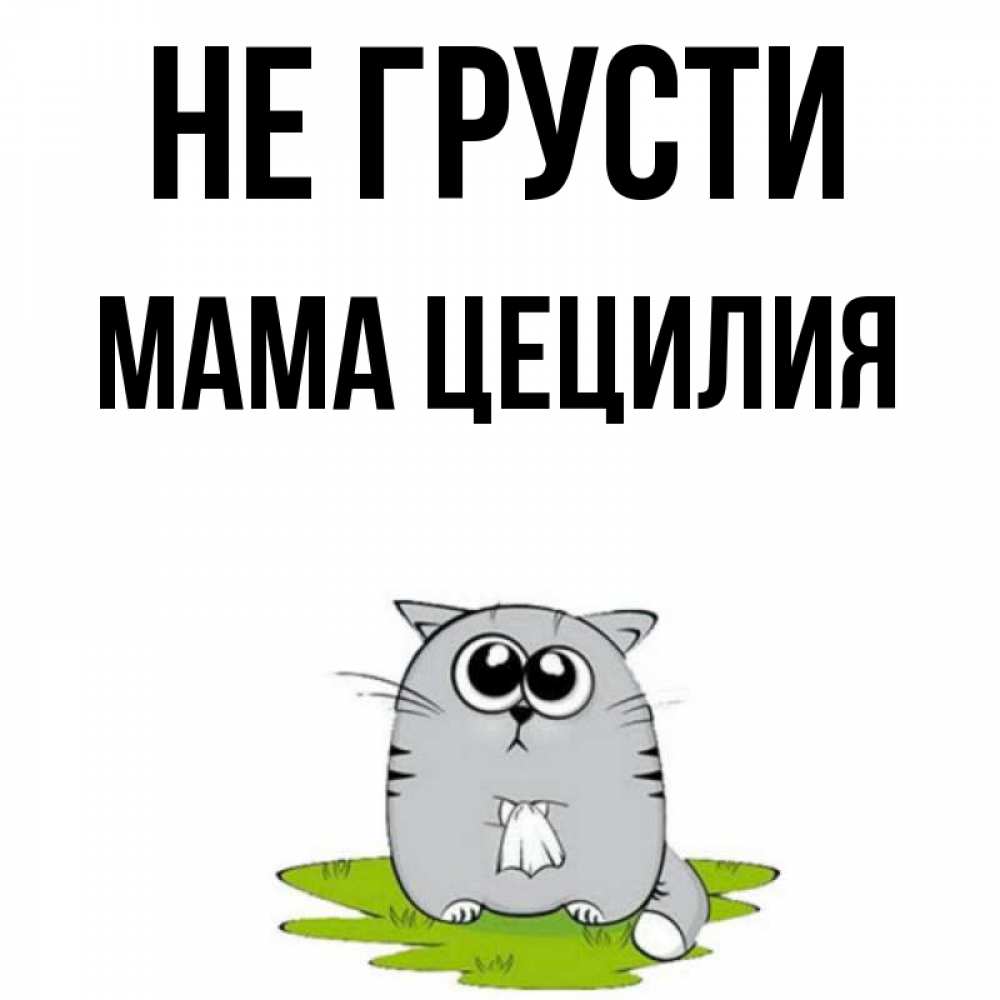 Открытка на каждый день с именем, Мама-Цецилия Не грусти грустный котяра Прикольная открытка с пожеланием онлайн скачать бесплатно 