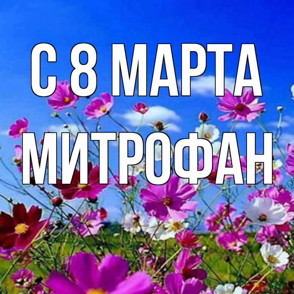 Открытка на каждый день с именем, Митрофан С 8 МАРТА цветы Прикольная открытка с пожеланием онлайн скачать бесплатно 