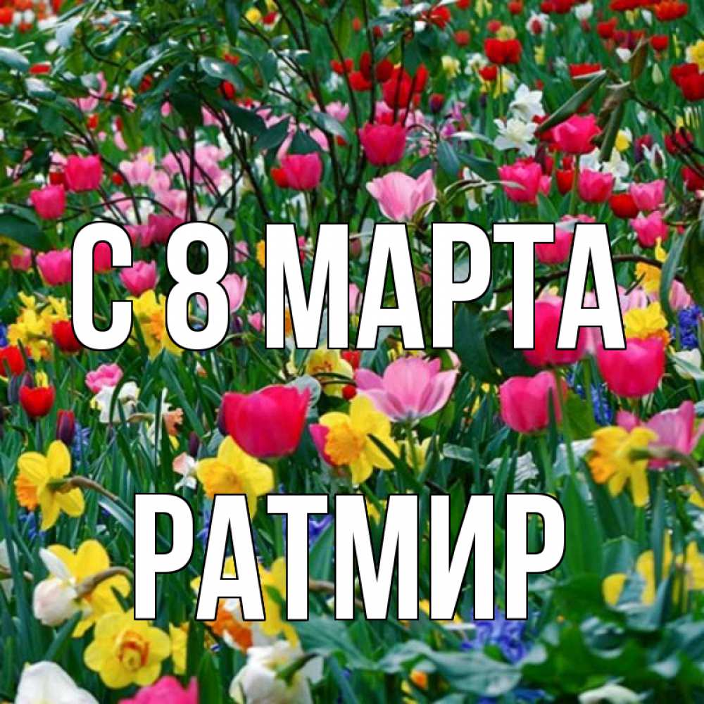 Открытка на каждый день с именем, Ратмир С 8 МАРТА с международным женским днем поздравления для женщины Прикольная открытка с пожеланием онлайн скачать бесплатно 