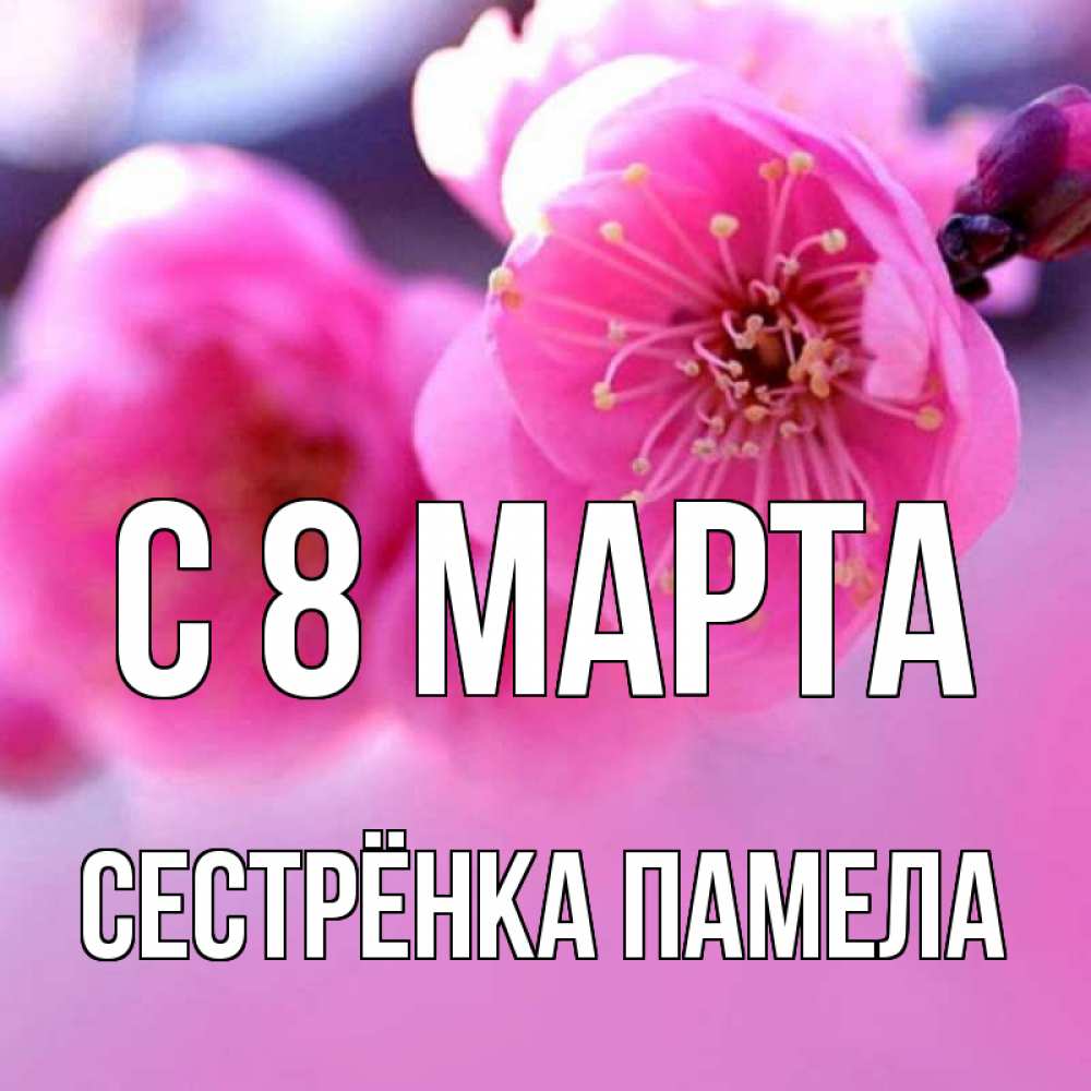 Открытка на каждый день с именем, Сестрёнка-Памела С 8 марта международный женский день Прикольная открытка с пожеланием онлайн скачать бесплатно 