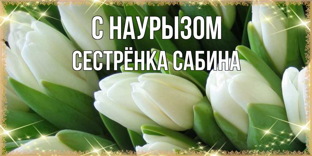 Открытка на каждый день с именем, Сестрёнка-Сабина С наурызом поздравляем с праздник весны наурыз Прикольная открытка с пожеланием онлайн скачать бесплатно 