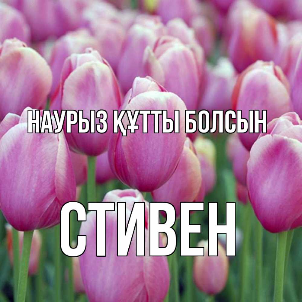 Открытка на каждый день с именем, Стивен Наурыз құтты болсын на наурыз  день 3 Прикольная открытка с пожеланием онлайн скачать бесплатно 