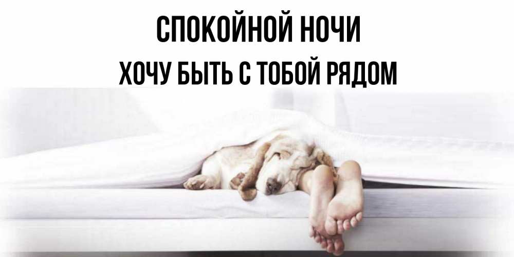 Открытка на каждый день с именем, Хочу-быть-с-тобой-рядом Спокойной ночи кровать с собакой пожелание сладких снов и спокойной ночи Прикольная открытка с пожеланием онлайн скачать бесплатно 