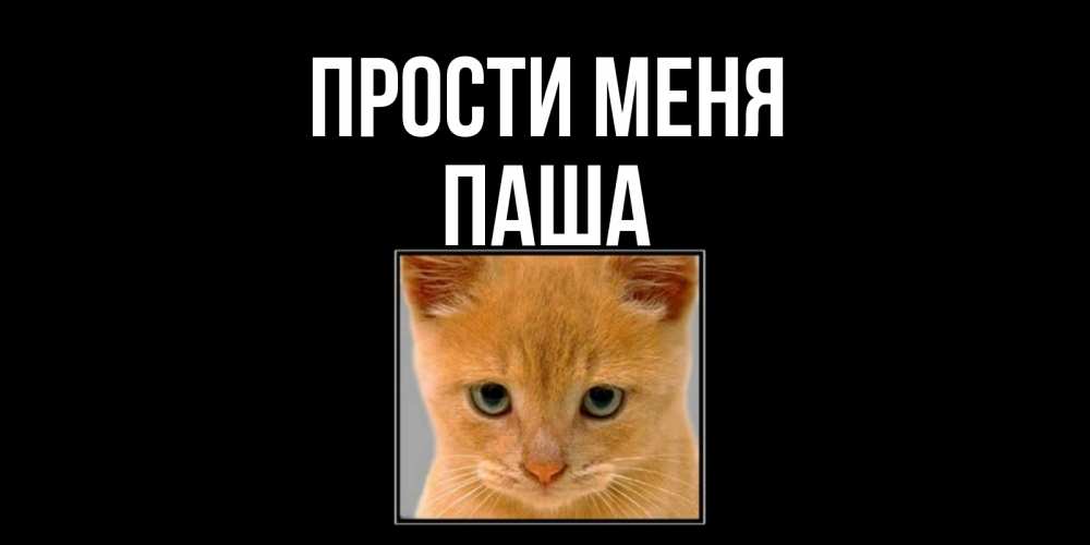 мог построить открытки прости с именем паша нужно для