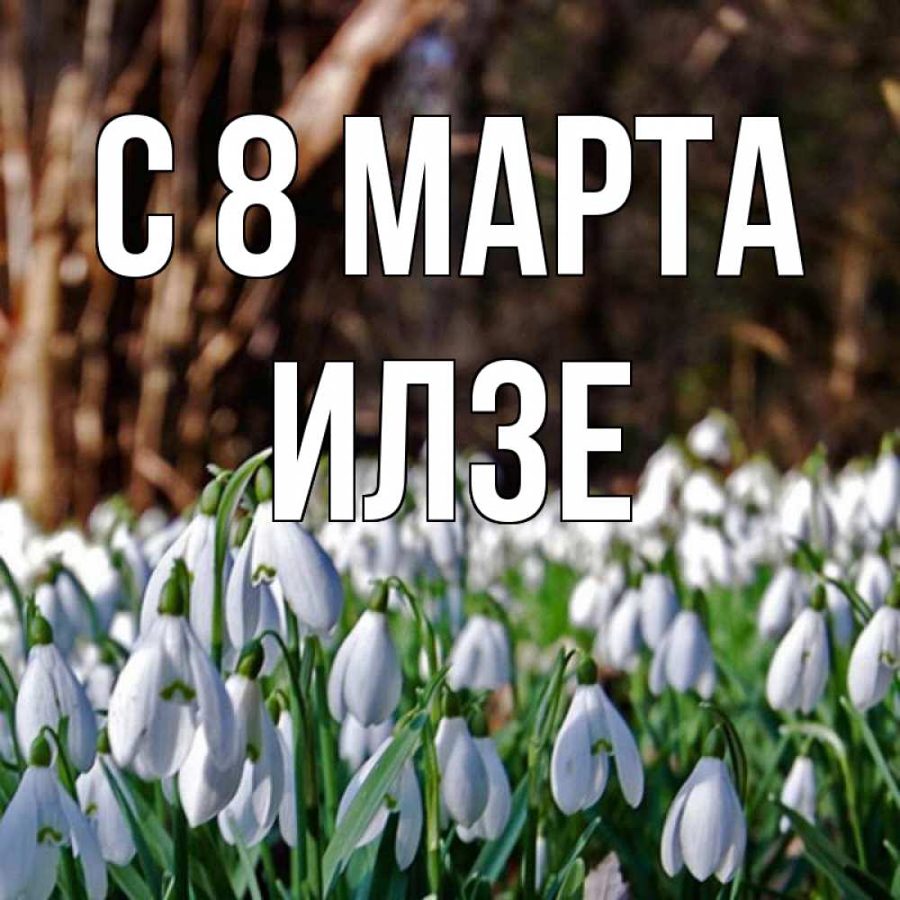 Открытка на каждый день с именем, Илзе С 8 МАРТА с подснежниками 1 Прикольная открытка с пожеланием онлайн скачать бесплатно 