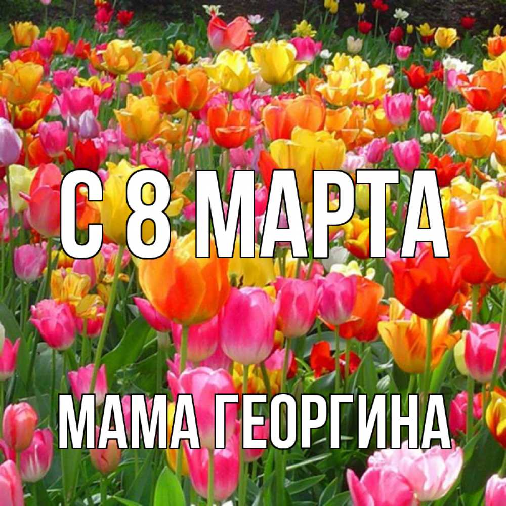 Открытка на каждый день с именем, Мама-Георгина С 8 марта на международный женский день Прикольная открытка с пожеланием онлайн скачать бесплатно 