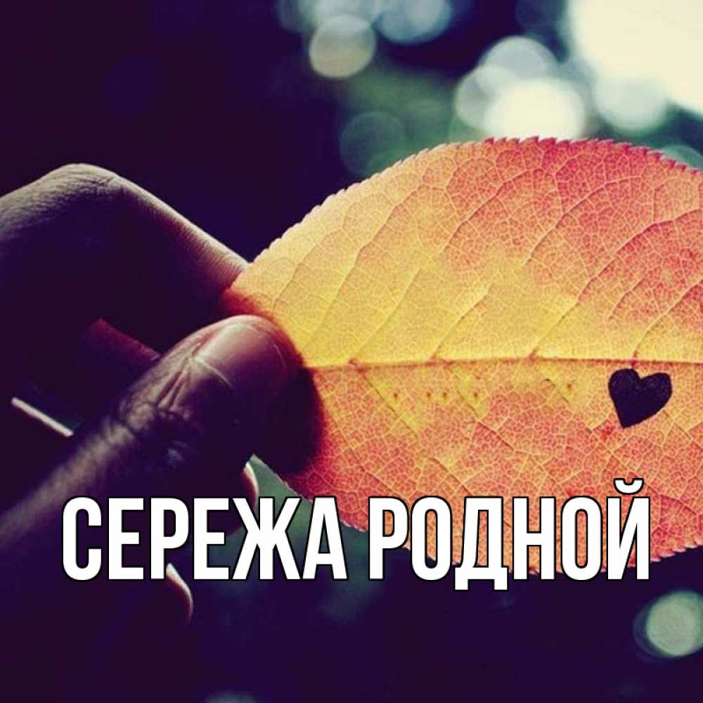 Картинки с именем сережа