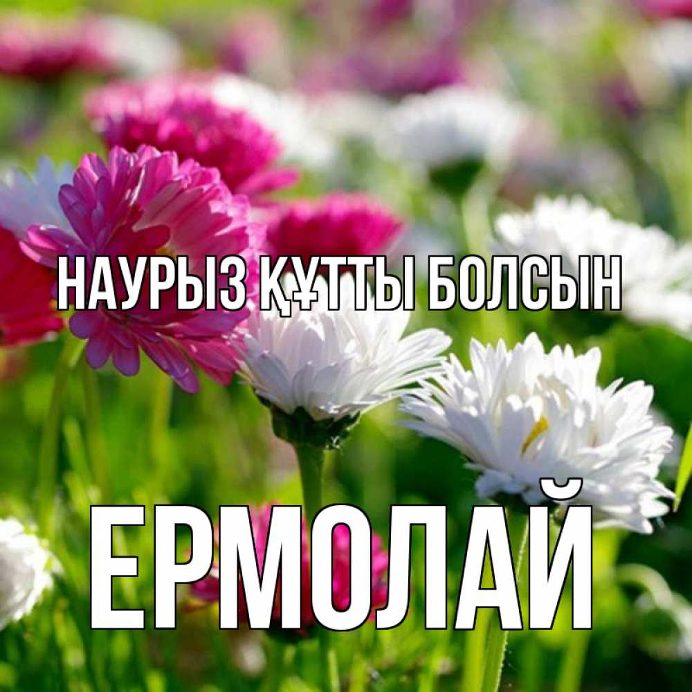 Открытка на каждый день с именем, Ермолай Наурыз құтты болсын наурыз Прикольная открытка с пожеланием онлайн скачать бесплатно 