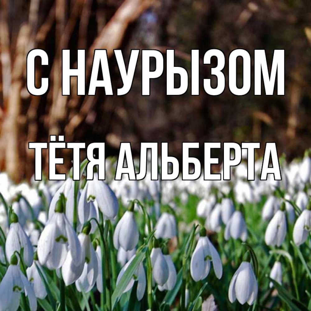 Открытка на каждый день с именем, Тётя-Альберта С наурызом с подснежниками 1 Прикольная открытка с пожеланием онлайн скачать бесплатно 