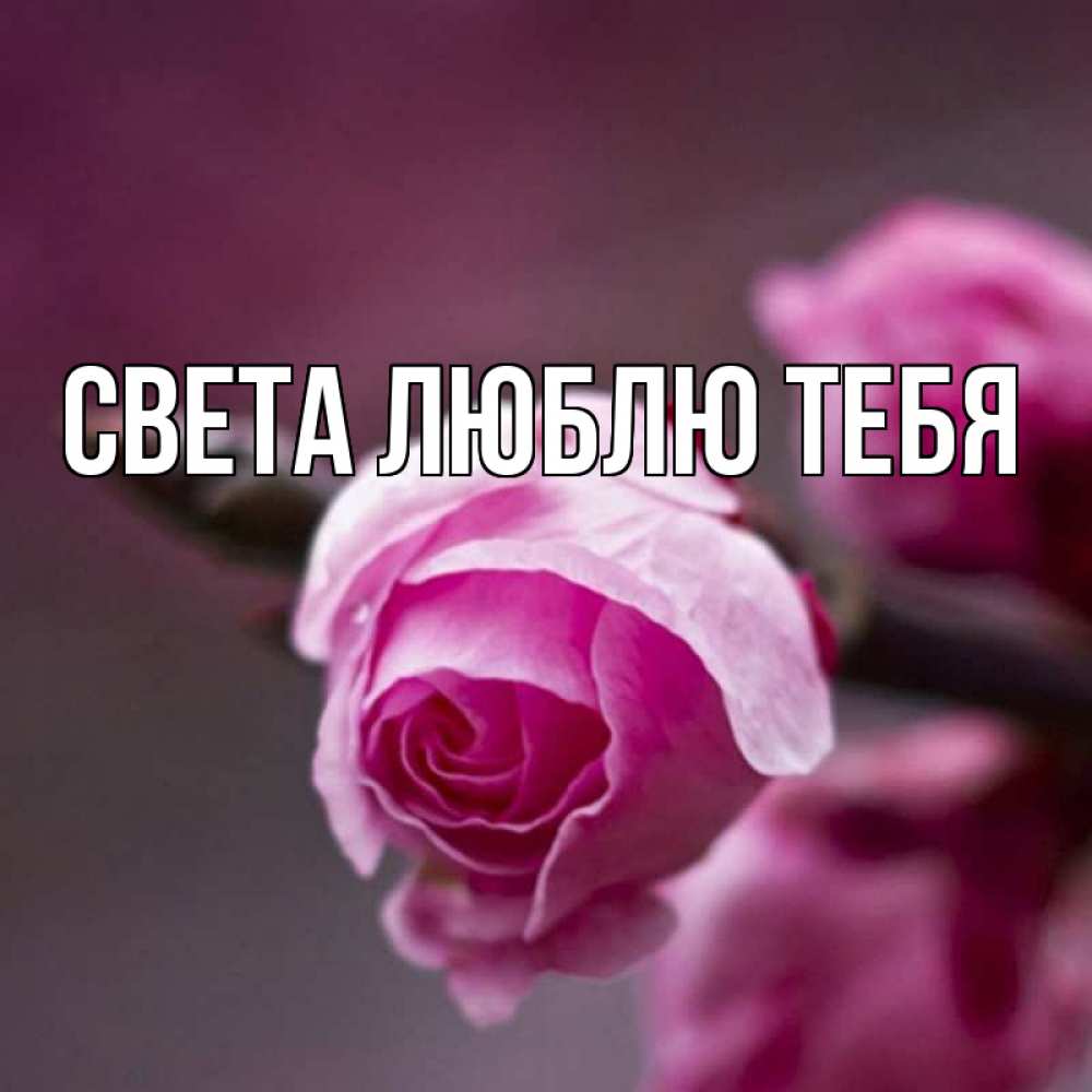 Света картинки с именем света