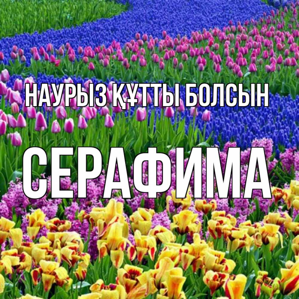 Открытка на каждый день с именем, Серафима Наурыз құтты болсын цветы Прикольная открытка с пожеланием онлайн скачать бесплатно 